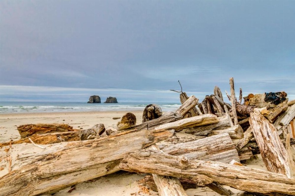 Auntie's House image 20