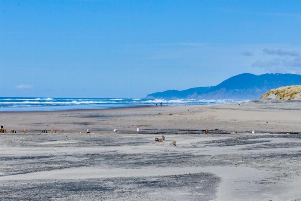 Auntie's House image 22