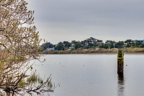 Auntie's House image 23